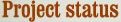 Project status